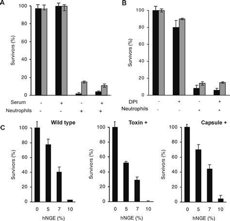 Human Neutrophils Efficiently Kill Vegetative B Anthracis Download Scientific Diagram