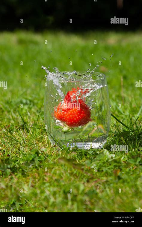 Slow Motion Of A Strawberry Splashing Into A Glass Of Water Evocative