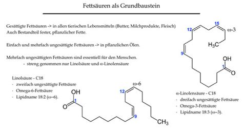 Zellbio Vl3 Membranen Karteikarten Quizlet