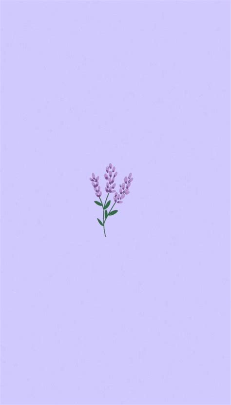 Download Aesthetic and Beautiful Purple Flower Wallpaper | Wallpapers.com