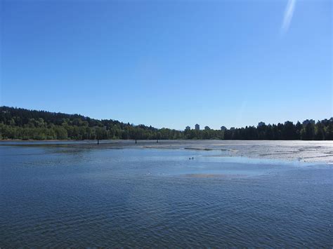 Shoreline Trail at Rocky Point in Port Moody | Vancouver Trails