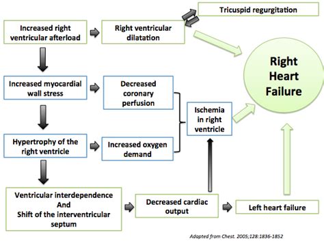 Right Heart Failure Pathophysiology Wikidoc