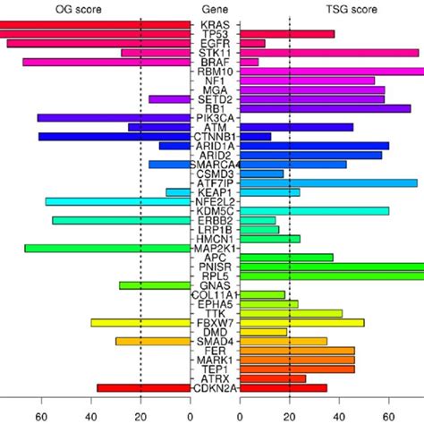 Pyramid Plot Of The Top 40 Significantly Mutated Genes In Tumor Samples