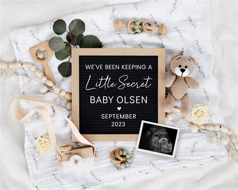 Pregnancy Announcement Digital Weve Been Keeping A Secret Bear Baby