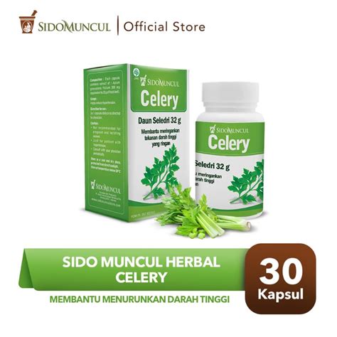 Jual Sido Muncul Herbal Celery Kapsul Menurunkan Darah Tinggi Di