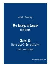 Merged Um Pdf Robert A Weinberg The Biology Of Cancer First Edition