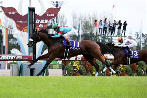 【秋華賞2023予想】本命馬候補5選と穴馬候補5選・コース適性と解説・血統馬5選・過去10年と傾向3連単 ｜ 3連単6点勝負！競馬で夢を