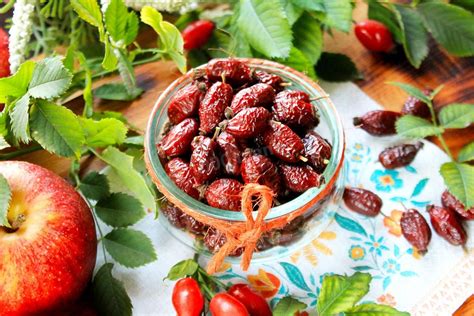 Как сушить шиповник в духовке рецепт с фото пошагово - 1000.menu