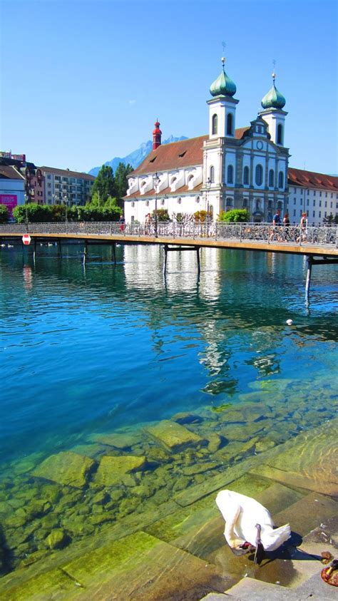 Swans Are Swimming In The Clear Blue Water Near An Old Church And Other