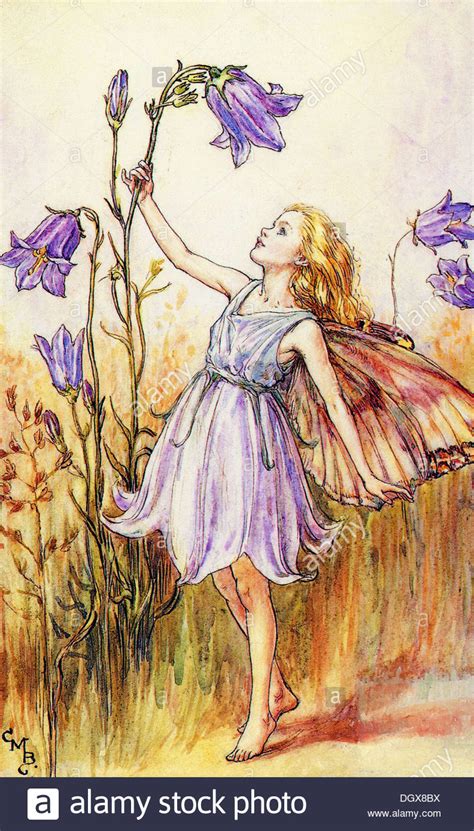 Flower Fairies Illustration Von Cicely Mary Barker Glockenblume Fee