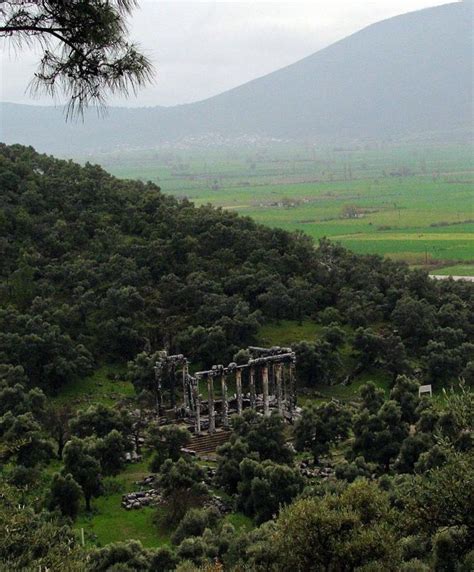 Zeus tapınağı Euronos antik kenti Muğla Milas ile Bafa gölü arasında