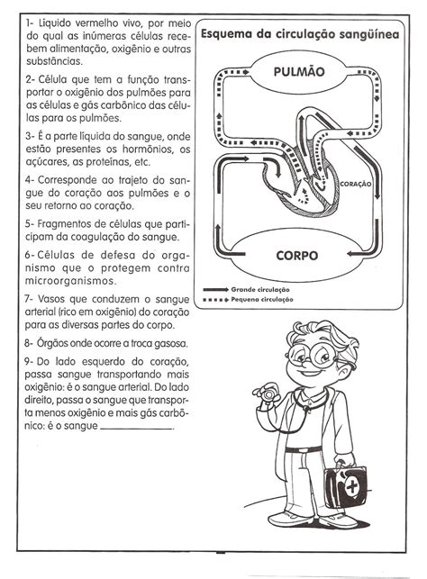 ATIVIDADES SOBRE SISTEMA CIRCULATÓRIO