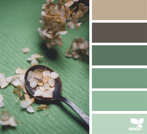 Gathered Hues Design Seeds Seeds Color Paint Color Palettes