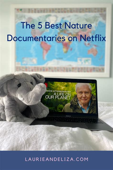 The Best Nature Documentaries On Netflix In Documentaries