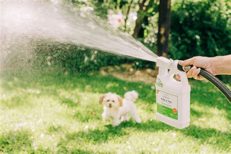 Natural Pet Direct Shares Tips on Keeping Your Pets (and People