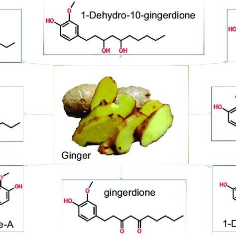 Ginger Rhizome And Chemical Structure Of Some Of Its Bioactive