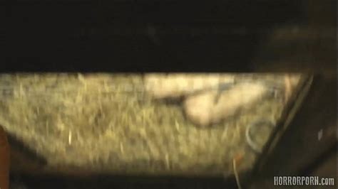 Extraordinary Videos XVIDEOS