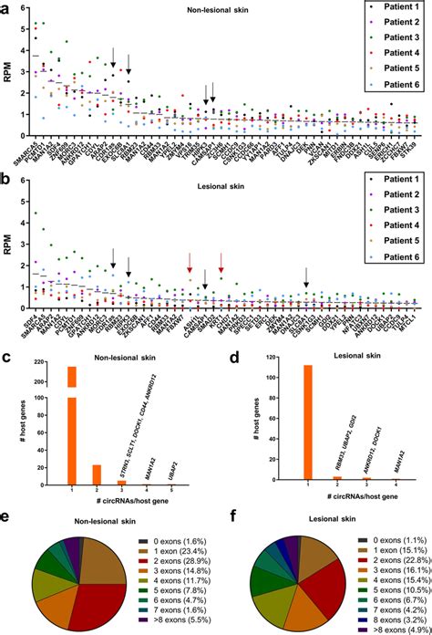 Characterization Of Circular Rnas In Lesional And Non Lesional Skin