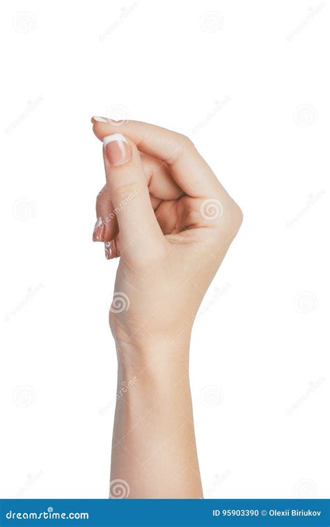 Adult Female Woman Hand To Hold Something Isolated On White Stock