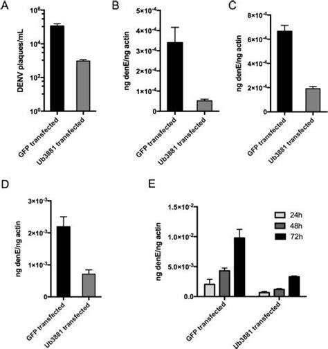 Ub3881 Reduces Production Of Infectious Denv Aag2 Cells Were