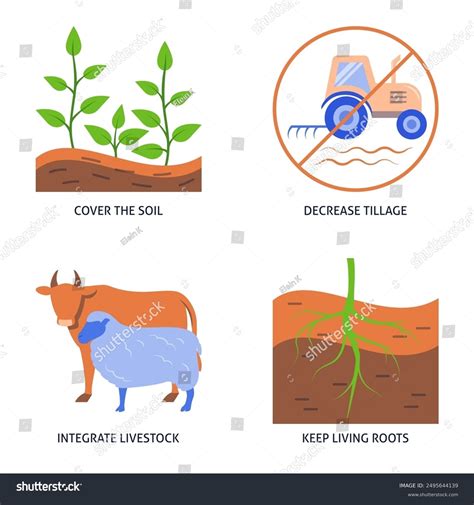 Regenerative Agriculture Principles Flat Icon Set Stock Vector (Royalty
