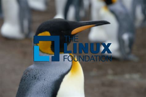 La Fundaci N Linux Ha Lanzado Un Curso Gratis Para Iniciarte En El