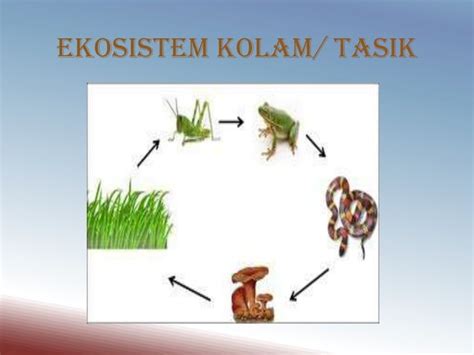 Sem 3 Rantain Makanan Dan Siratan Makanan Ppt