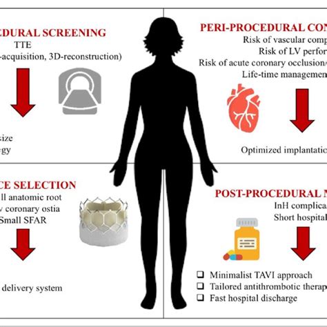 Sex Tailored Tavi Planning And Periprocedural Management 3d Indicates