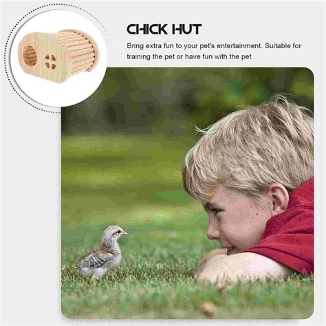 why is hamster hiding naturally 1