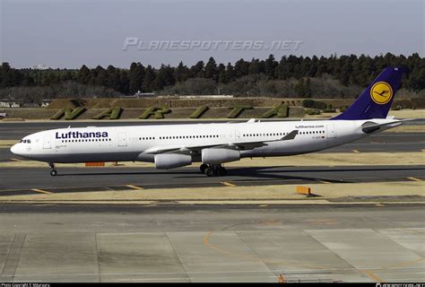 D AIFE Lufthansa Airbus A340 313 Photo by Māuruuru ID 1110753