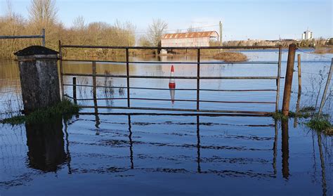 Flood Relief Measures Sought For Farmers Along River Shannon