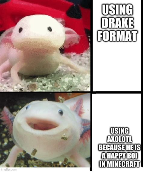 7+ Minecraft Axolotl Memes