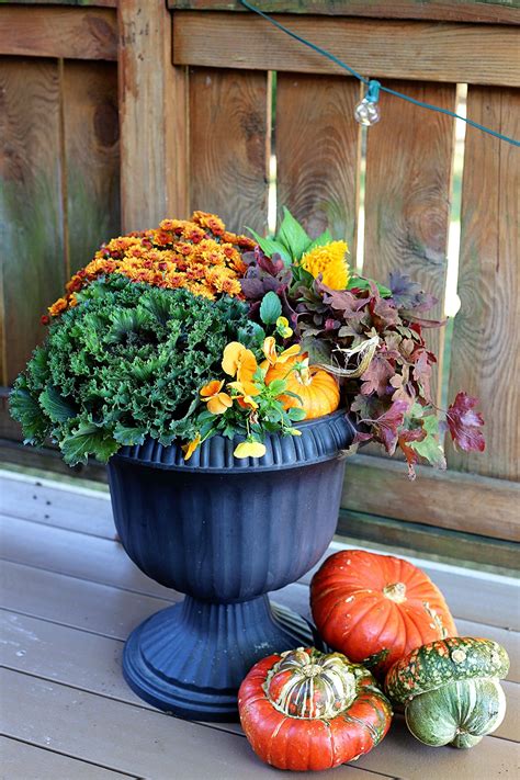 Fabulous Fall Planter Ideas Container Garden Photos Tips Inspiration