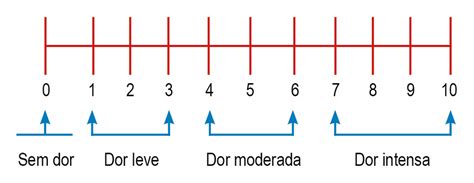 DOR EM PACIENTES INTERNADOS NA UNIDADE DE TERAPIA INTENSIVA SECAD