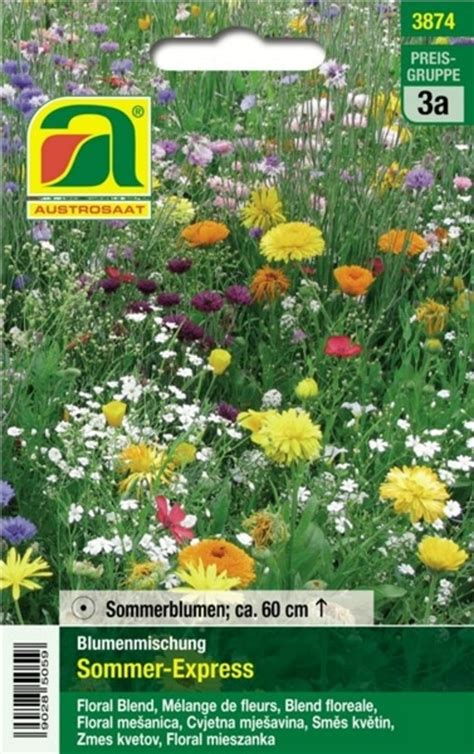 Austrosaat Blumenmischung Sommer Express Packung Bloomling