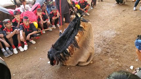 Moment Langka Aktraksi Bangbarongan Cuta Muda Hari Ini Di Cikoneng