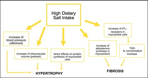 Salt And Hypertension Is Salt Dietary Reduction Worth The Effort