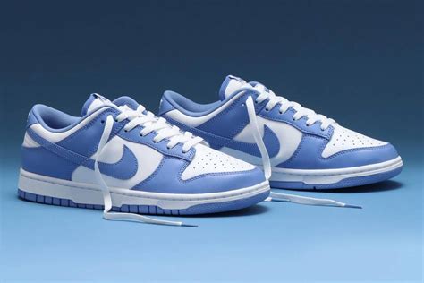 Nike Dunk Low Retro Polar Blue