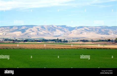 Walla Walla River Valley Looking East Toward The Blue Mountains