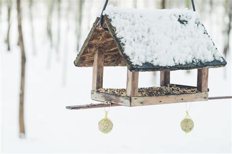 Premium Photo Birdhouse And Bird Feeder In Winter Park