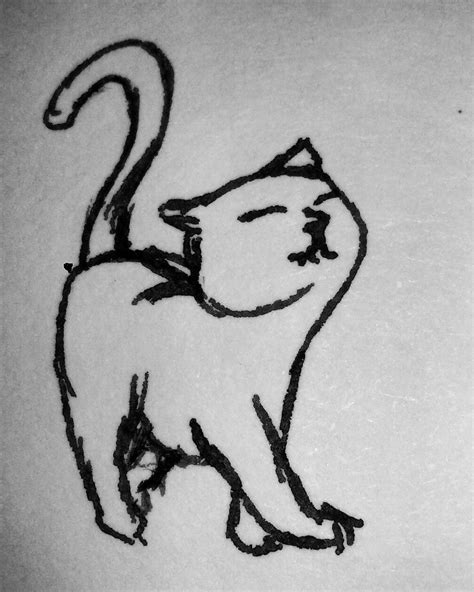 Curled Up Cat Drawing at PaintingValley.com | Explore collection of ...