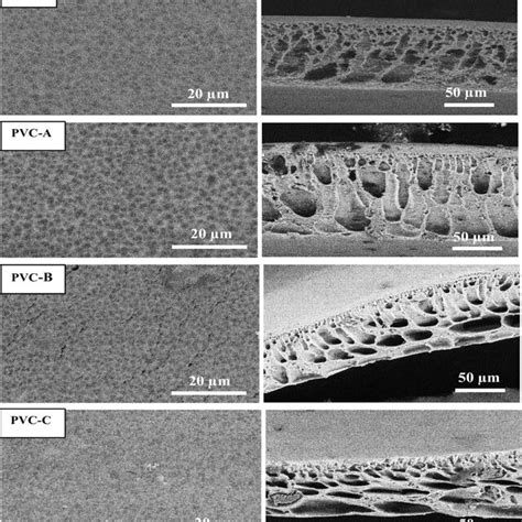 SEM Of Surface Left And Cross Section Right Of The PVC Blank