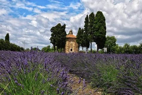 Appartamento In Vendita A Castagneto Carducci Val D Orcia Amiata