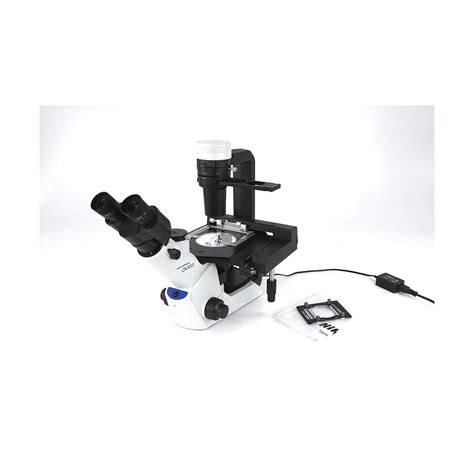 Olympus CKX53 Trino Inverted Phase Contrast Cell Culture Microscope X