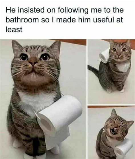 how to pronounce insisted