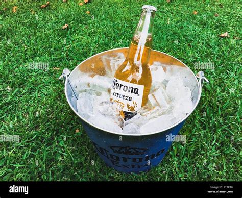 Corona beer bottle hi-res stock photography and images - Alamy