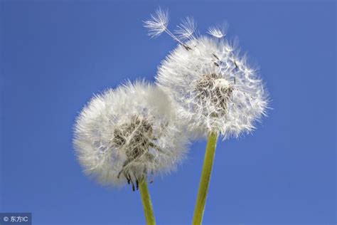 有些歌是唱給別人聽的，而約定是唱給我們自己聽的 每日頭條