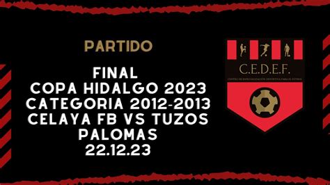 Final Copa Hidalgo 2023 Celaya FB vs Tuzos Palomas categoría 2012