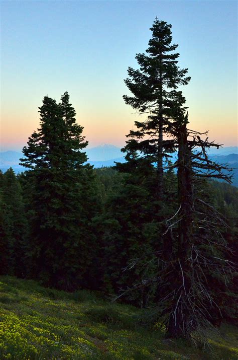 Mt Shasta From Mt Ashland Ashland Daily Photo