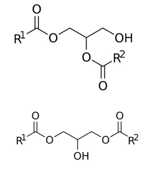 Diacylglycerol Analysis Service Creative Proteomics